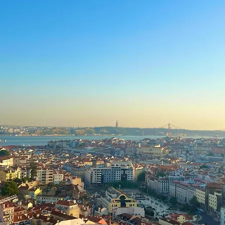 Luxurious Art Design - Graca Lisboa